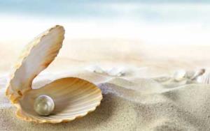 6. Mutiara (Kesempurnaan Serta Feminism)