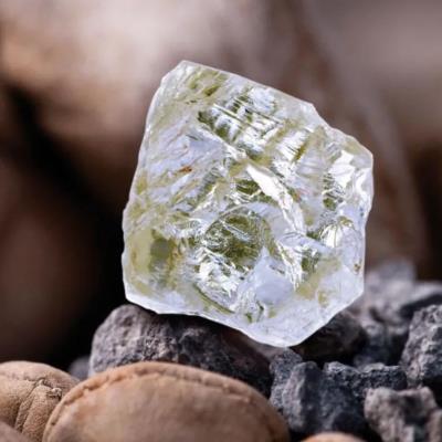 Kekuatan dan Ketahanan